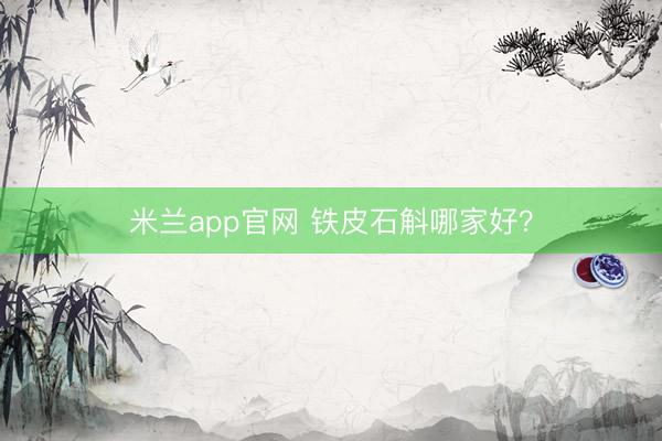 米兰app官网 铁皮石斛哪家好？