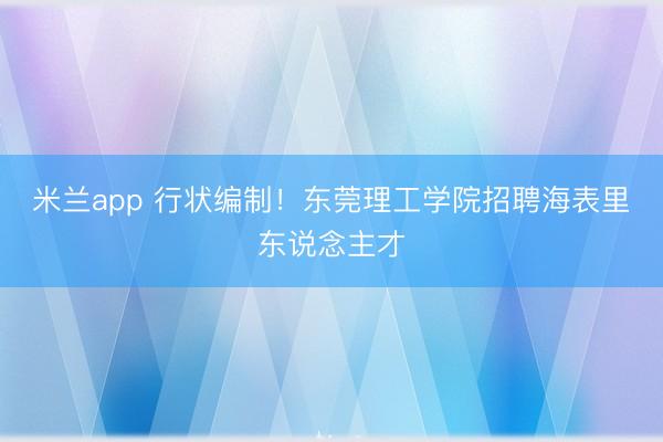 米兰app 行状编制！东莞理工学院招聘海表里东说念主才