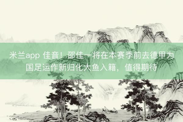 米兰app 佳音！邵佳一将在本赛季前去德甲为国足运作新归化大鱼入籍，值得期待