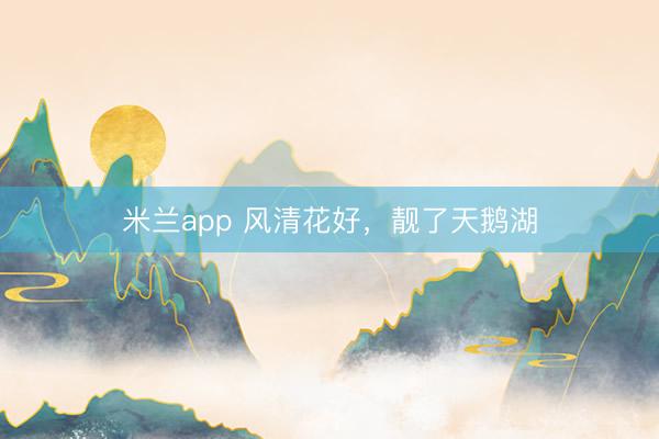 米兰app 风清花好，靓了天鹅湖