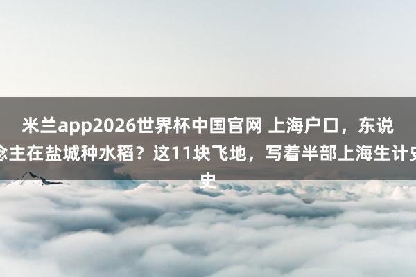 米兰app2026世界杯中国官网 上海户口，东说念主在盐城种水稻？这11块飞地，写着半部上海生计史