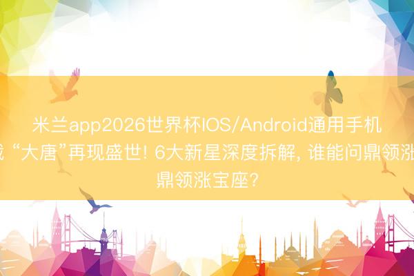 米兰app2026世界杯IOS/Android通用手机版下载 “大唐”再现盛世! 6大新星深度拆解， 谁能问鼎领涨宝座?