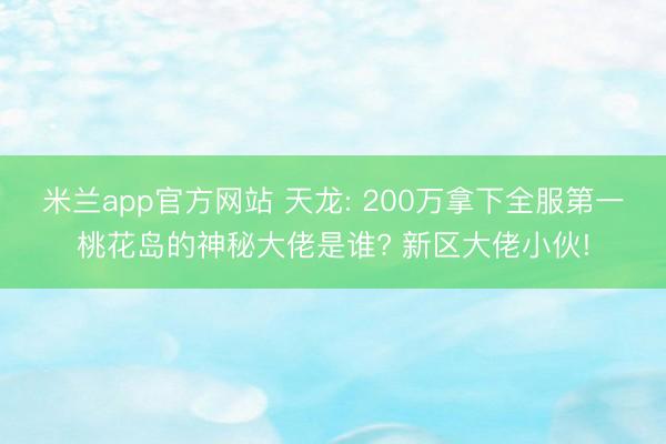 米兰app官方网站 天龙: 200万拿下全服第一桃花岛的神秘大佬是谁? 新区大佬小伙!