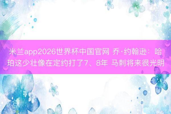 米兰app2026世界杯中国官网 乔·约翰逊：哈珀这少壮像在定约打了7、8年 马刺将来很光明