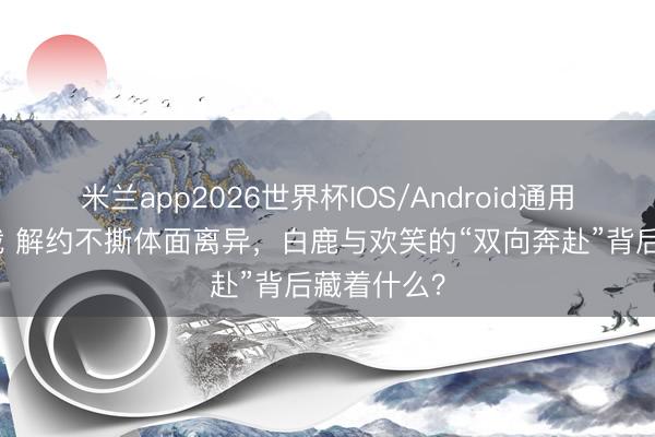 米兰app2026世界杯IOS/Android通用手机版下载 解约不撕体面离异，白鹿与欢笑的“双向奔赴”背后藏着什么？